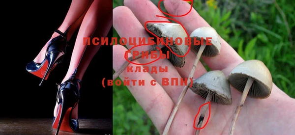 кристаллы Новодвинск
