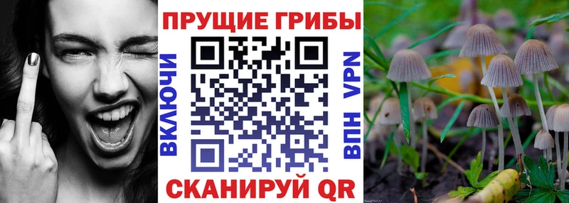 даркнет сайт  Соликамск  Псилоцибиновые грибы Magic Shrooms 