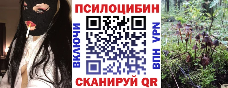 Псилоцибиновые грибы Psilocybe Соликамск